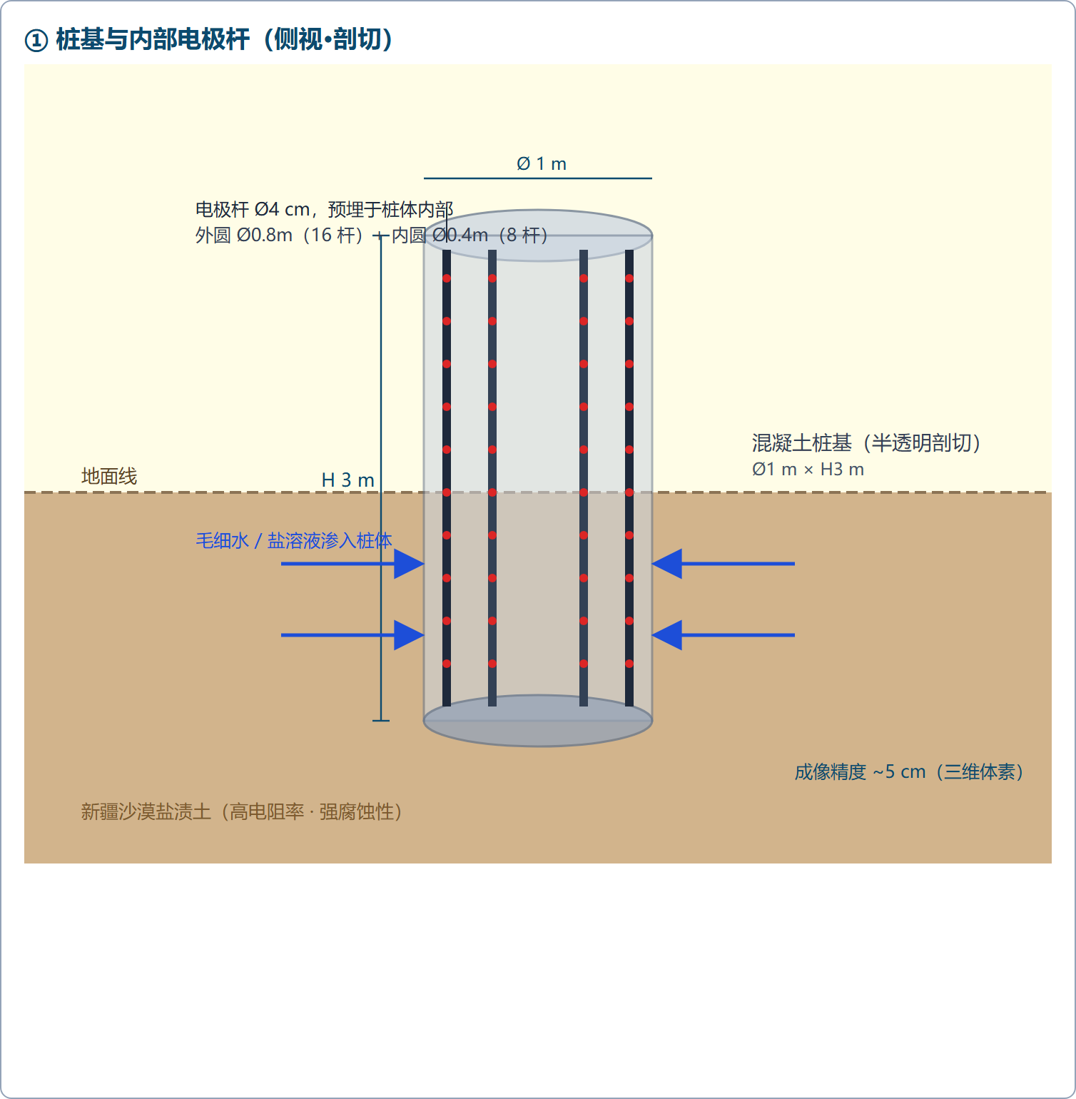 桩基与内部电极杆布置（侧视·剖切）